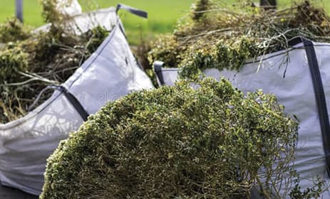 Débarras jardins déchets verts