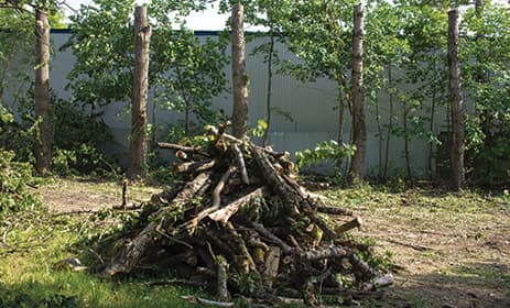 Benne déchets verts végétaux Ile de France